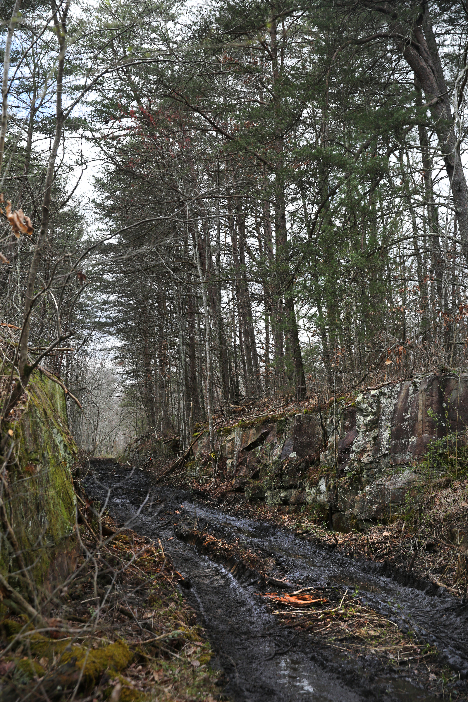 What will be part of the Mountain Goat Trail runs between rock formations that were split with explosives when the railroad system ran through the area Wednesday, March 21, 2018 in Tracy City, Tenn. The multi-use walking and cycling trail will eventually link seven towns in Grundy and Franklin counties.