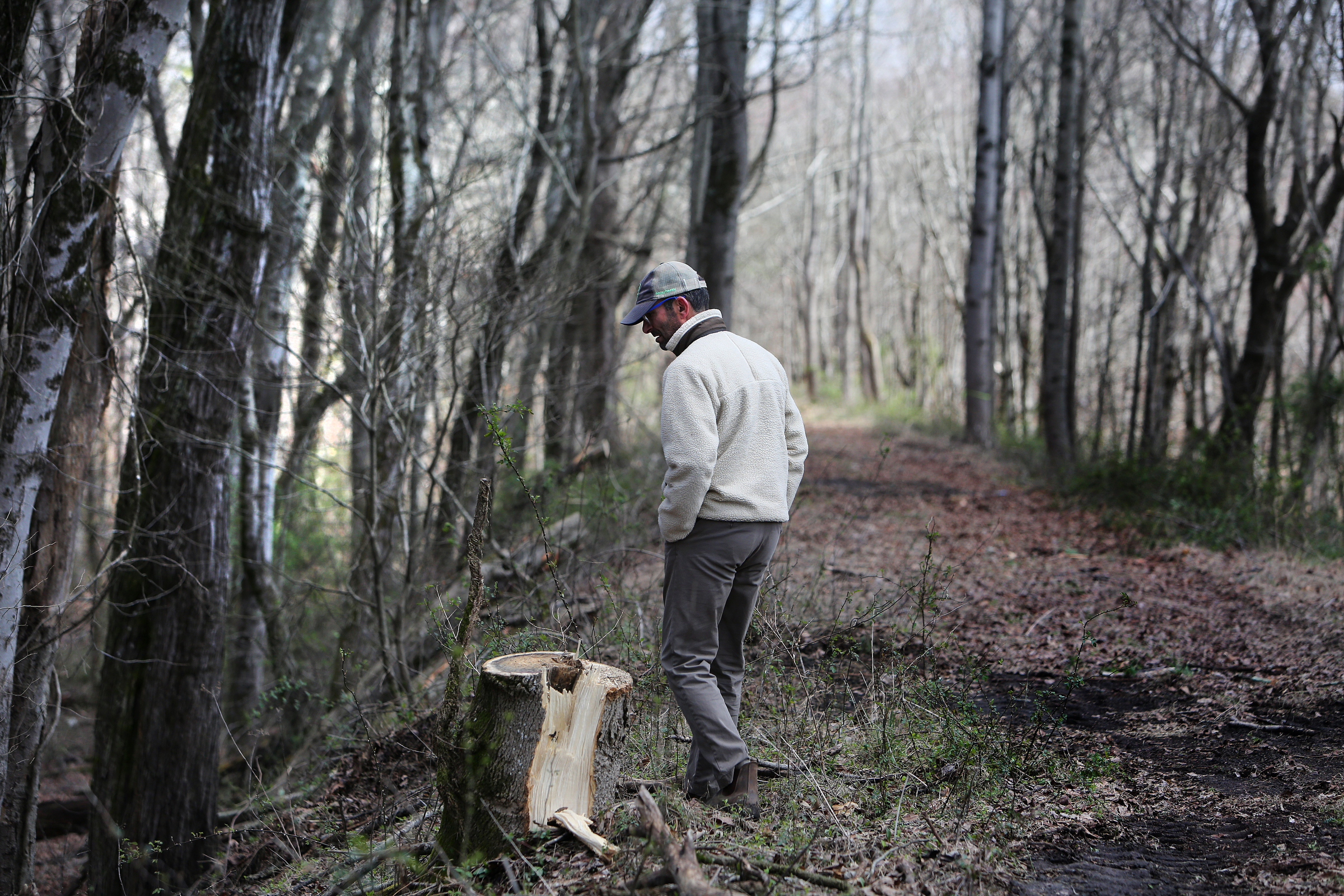 Patrick Dean, executive director of the Mountain Goat Trail Association, looks for a culvert along the Mountain Goat Trail Wednesday, March 21, 2018 in Tracy City, Tenn. A multi-use walking and cycling trail connecting the communities along the path of the historic Mountain Goat Railroad has two ongoing construction projects as the area continues to develop the trail system.