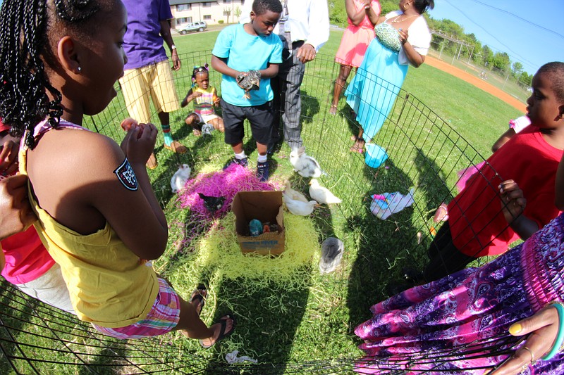 William Jones expects to again have chicks and other small animals for children to interact with during his annual Easter celebration in Westside. (Contributed photo)