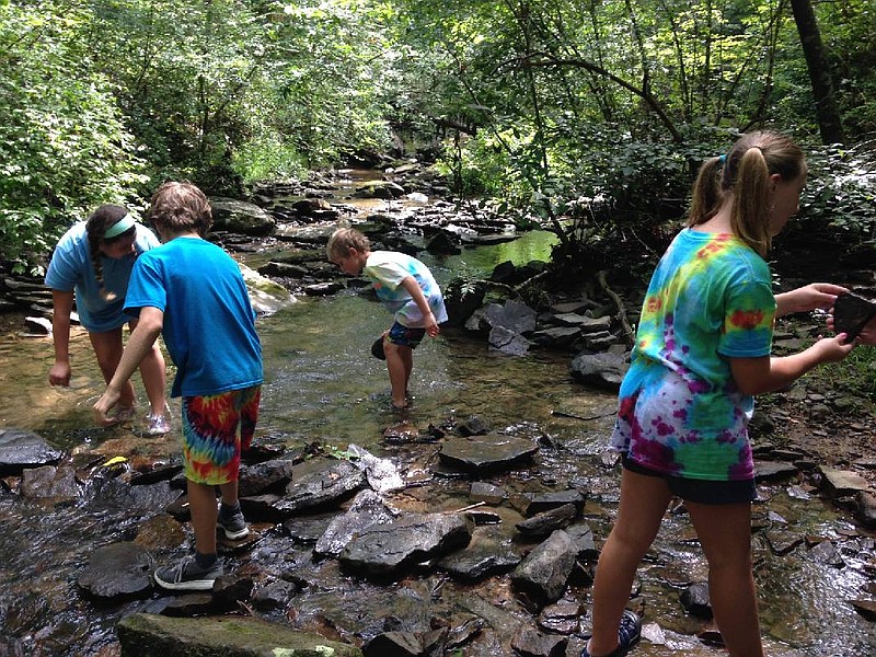 TenneSEA Kids 4 Clean Water campers take samples from a local stream. The organization is holding a spring break camp April 2-6. (Contributed photo)