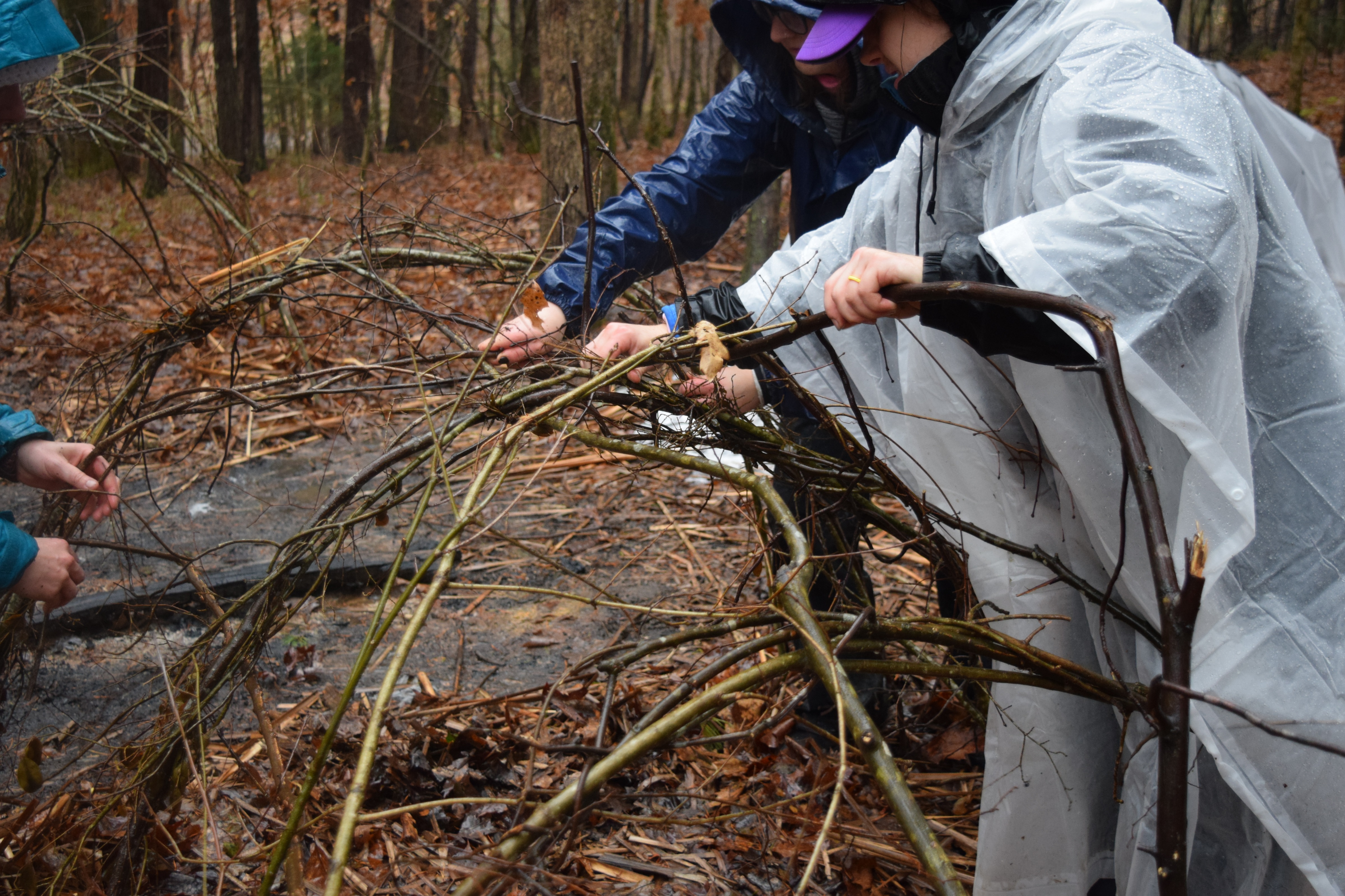 Super shelters are built using tree saplings and plastic tarps, acting as a wind-blocking, heat-trapping tent. Photo by Sunny Montgomery