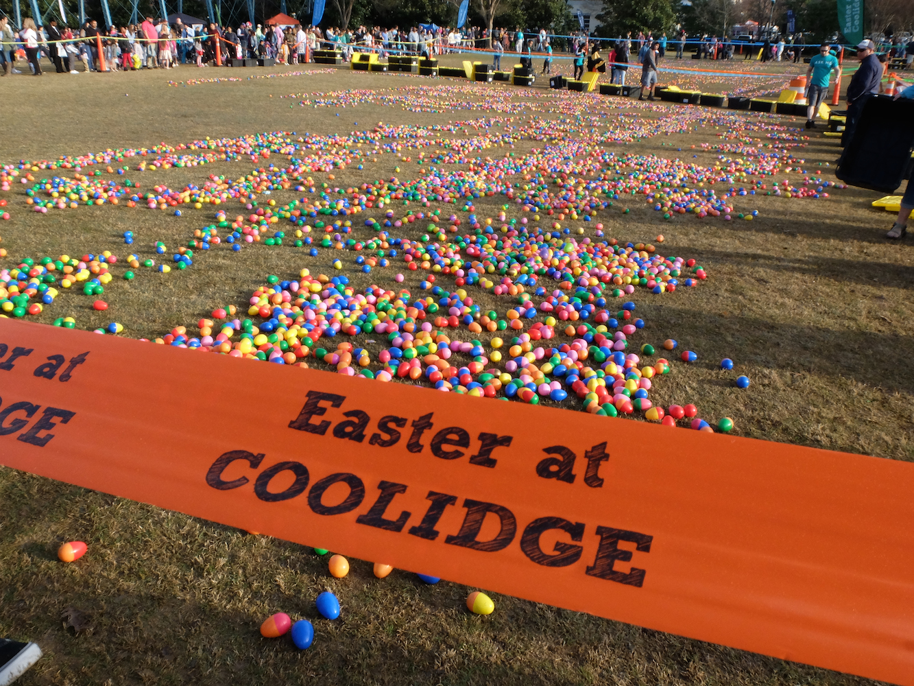 Thousands of plastic eggs await at Coolidge Park early Sunday morning as the 10th annual Easter at Coolidge celebration gets underway.