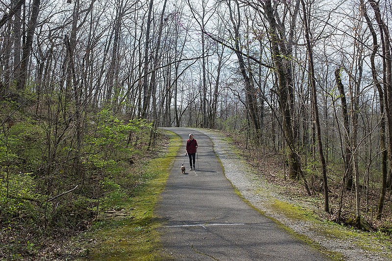 Elise Armstrong hikes along the North Chickamauga Creek Greenway.
