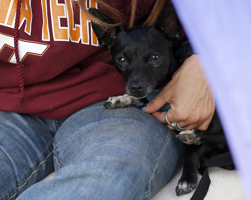 A homeless resident holds her dog inside her tent as she discusses the encampment off East 11th Street where she has been living.