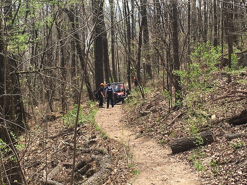 Chattanooga firefighters assist a hiker who injured his ankle on Glen Falls trail and couldn't walk back out on his own on Monday, April 2, 2018. Lookout Mountain police and the National Park Service on Lookout Mountain also provided assistance. (Photo: Capt. John Long/Chattanooga Fire Department)