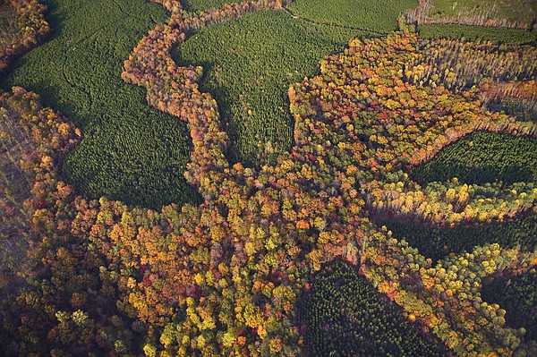 In Town Gallery Features Work Of Aerial Photographer Ron Lowery Chattanooga Times Free Press 9300