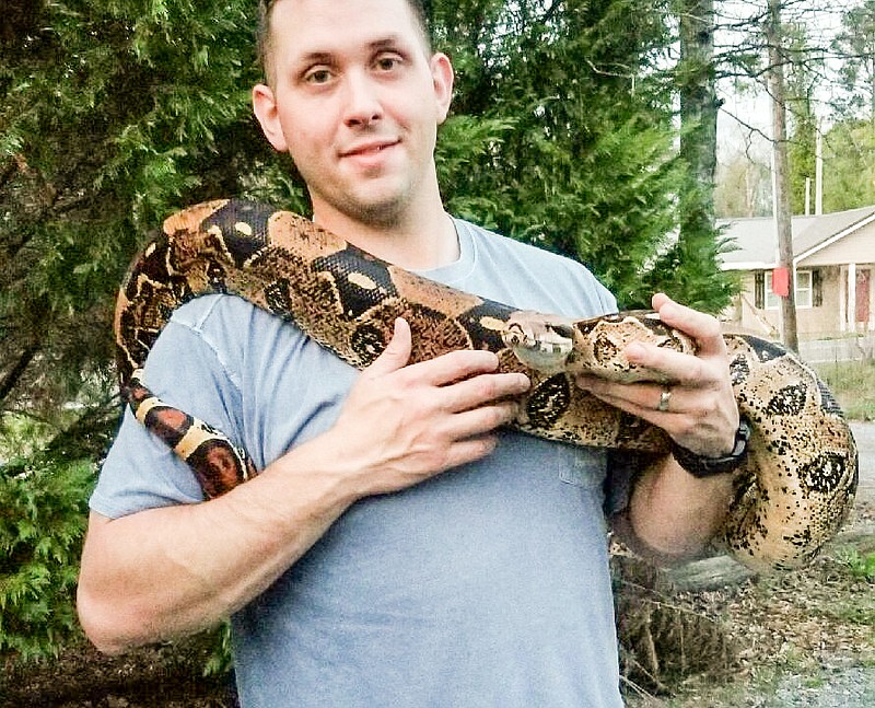 Whitfield County deputy Cory Spence handles 7-foot long boa constrictor.
