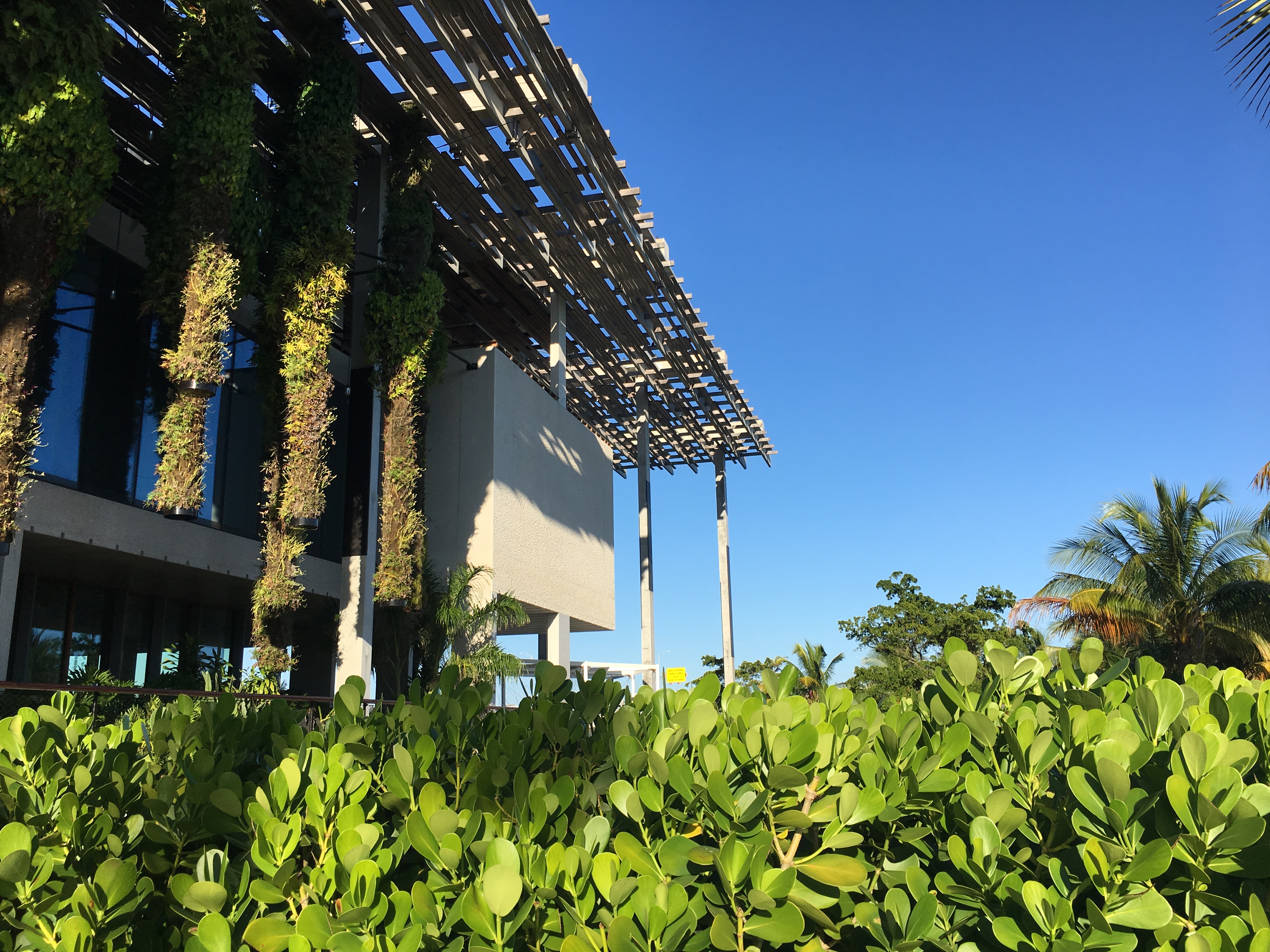 Perez Art Museum Miami's striking architecture incorporates tropical vegetation. (Photo by Martin W.G. King)