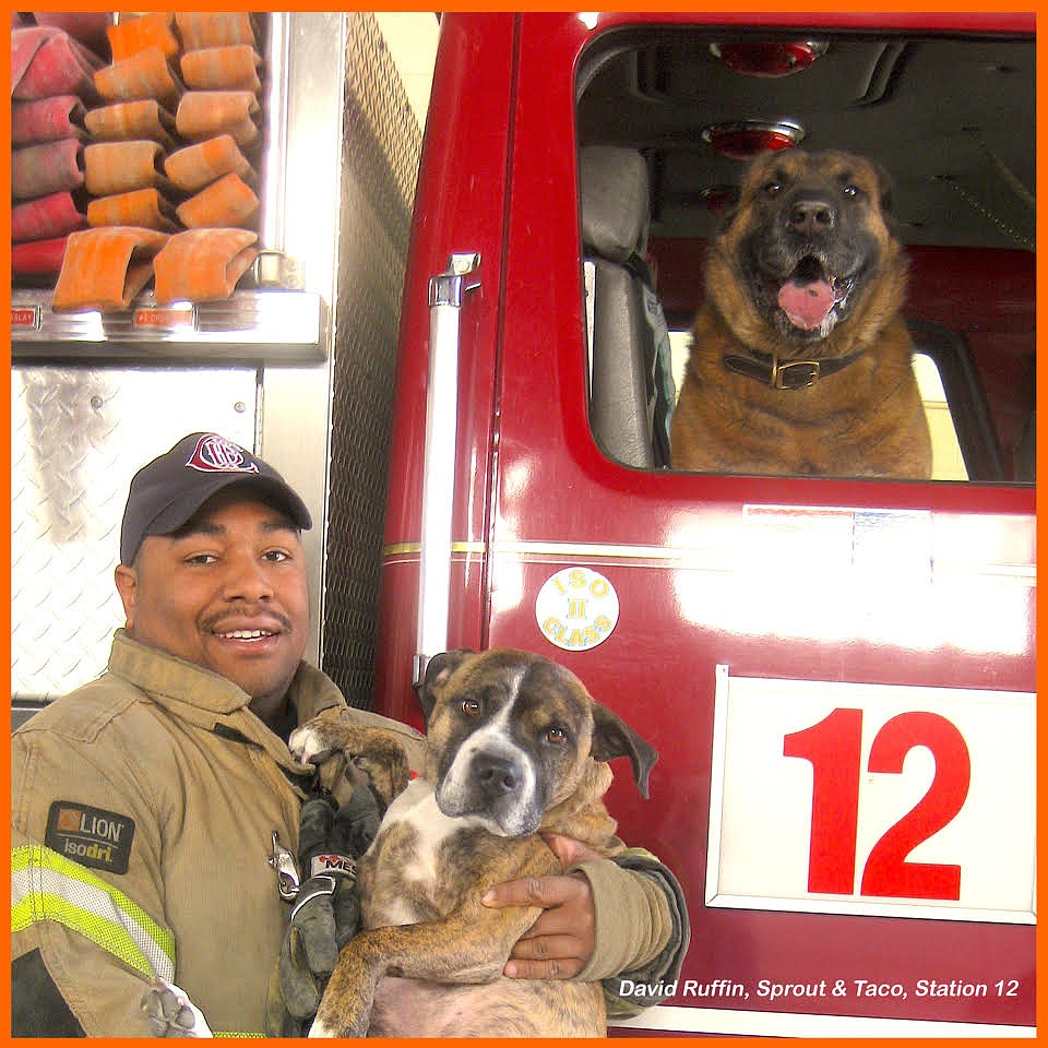 New calendar pairs Chattanooga firefighters with their pets [photos]