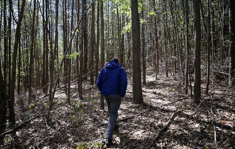 Whitfield County Geographic Information System Coordinator Jess Hansen walks through the woods towards the site of Civil War earthworks on the Grant Farm property on Tuesday, April 17, 2018 in Dalton, Ga.