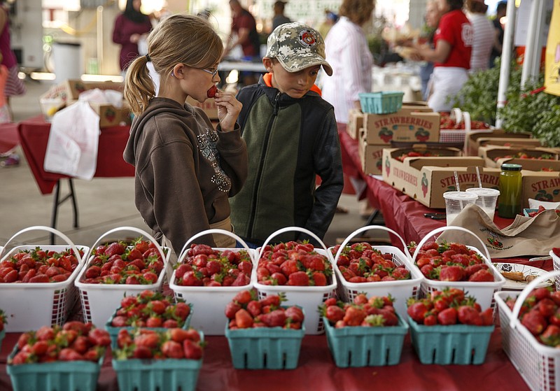 Lily Dodd, left, eats a strawberry as she and Lane Dodd look over their family's strawberries from Top Mountain Farm in a previous Chattanooga Market at First Tennessee Pavilion. The market opens for the 2018 season on Saturday and Sunday, April 28-29. The EPB Strawberry Festival is scheduled for Sunday, June 3.