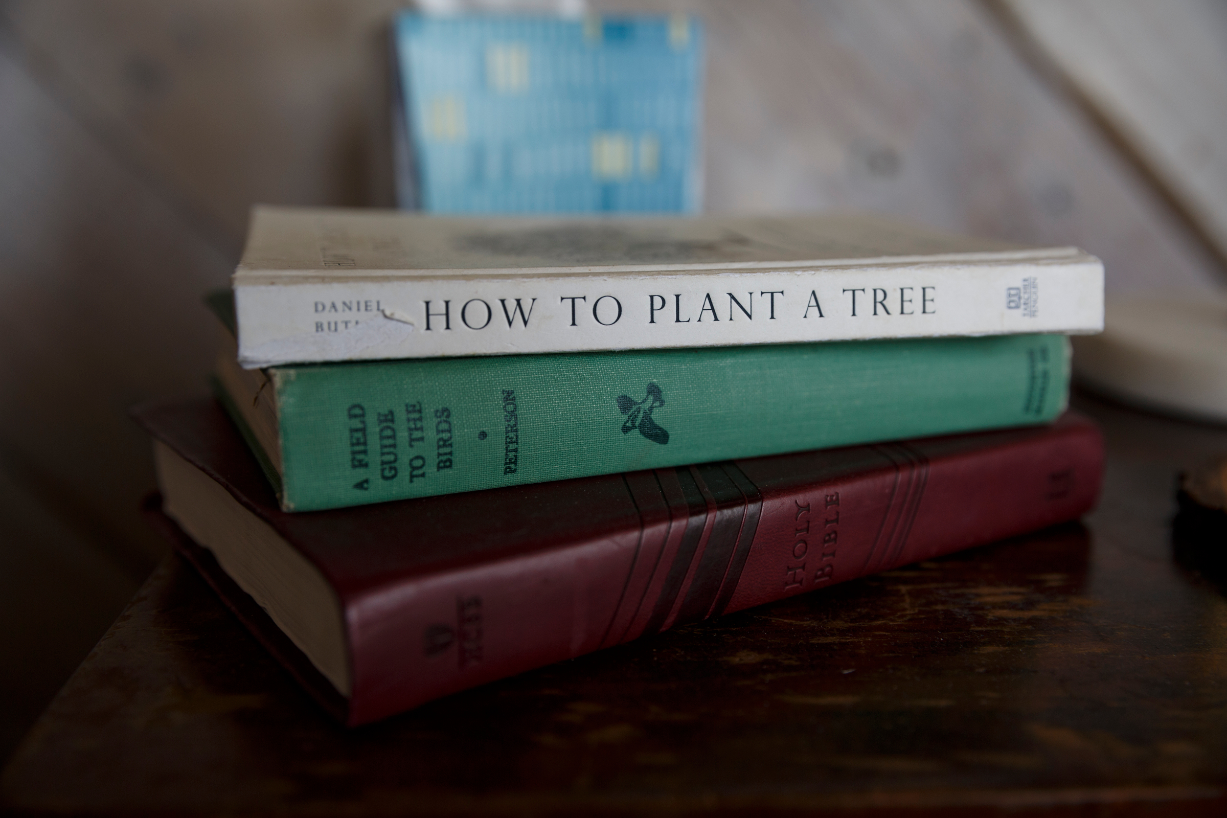 Books are seen in the loft bedroom of a treehouse vacation rental on Saturday, March 31, 2018, in Flintstone, Ga.