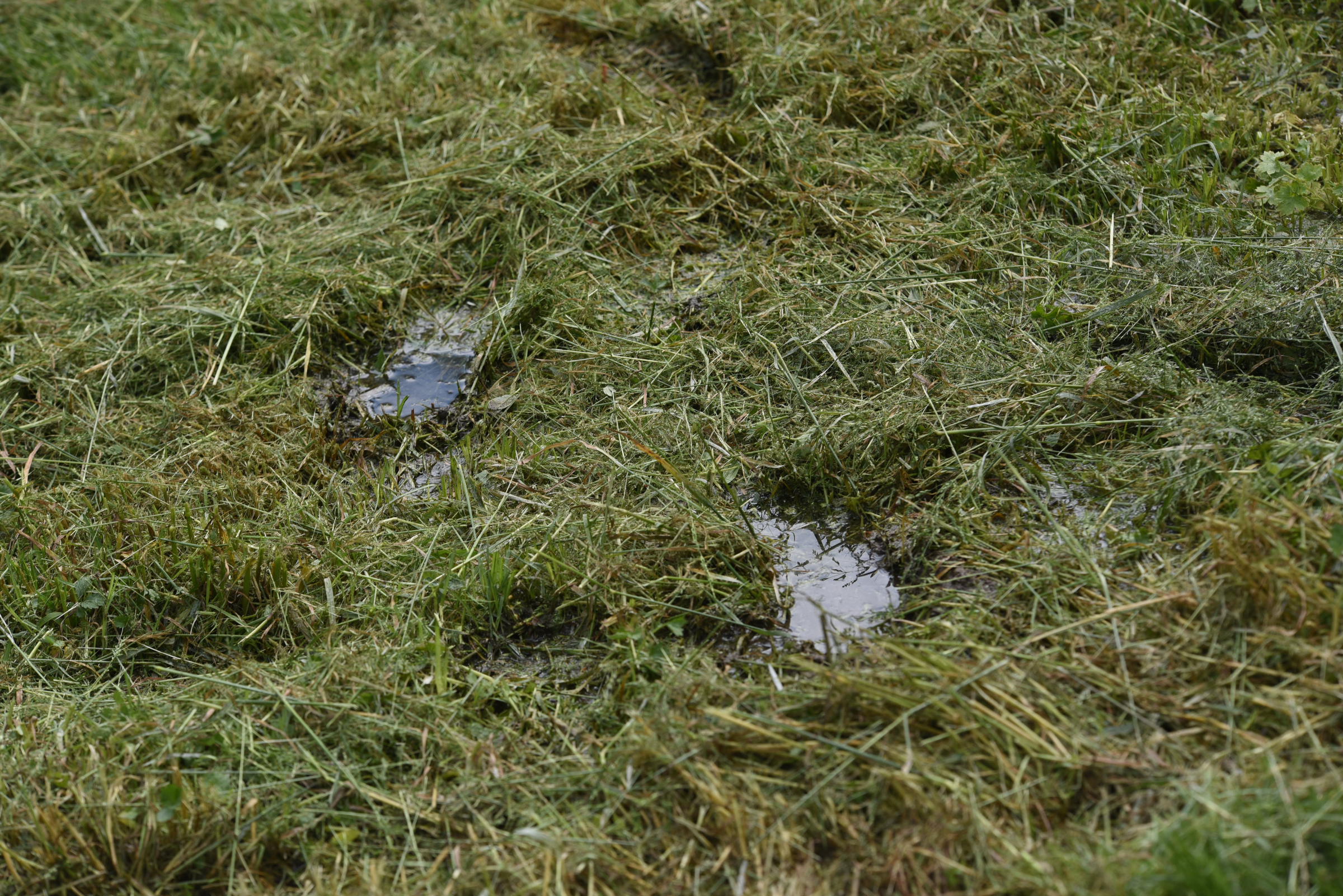 A sewer line leaks into the yard at a Big Ridge Estates in Rossville.