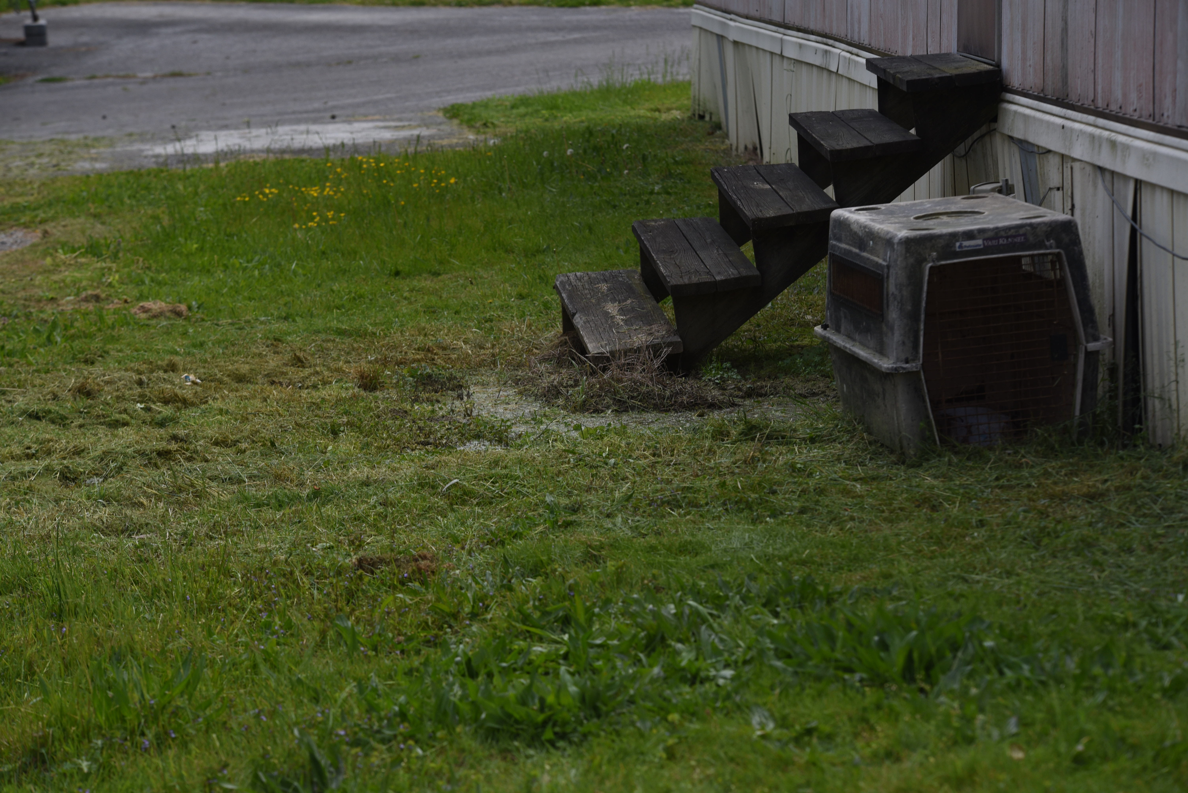 A sewer line leaks into the yard at a Big Ridge Estates in Rossville.