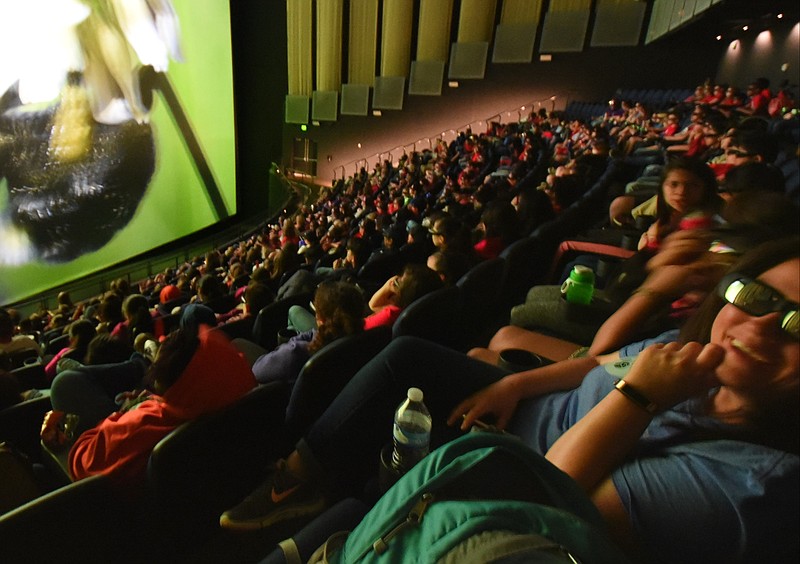 Hundreds of people enjoy the visual experience at the Imax Theater adjacent to the Tennessee Aquarium. (Staff photo by Tim Barber)