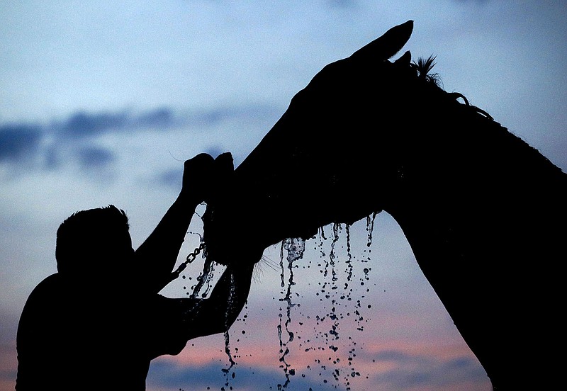 AP photo by Charlie Riedel / A horse gets a bath after a morning workout at Churchill Downs on May 3, 2018, two days before the 144th running of the Kentuck Derby in Louisville.