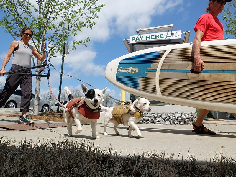 Brenda and Lee Simril hit the water with their four-legged stand-up-paddleboard fans Betty, left, and Henry.