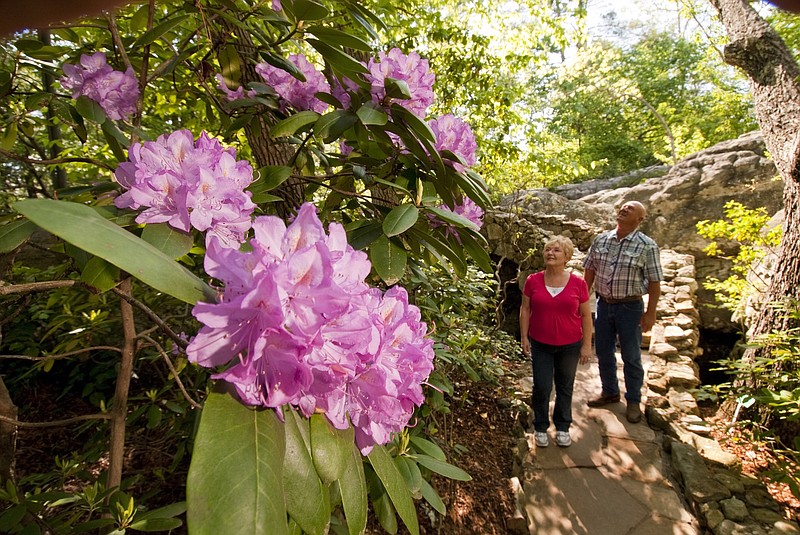 Stroll along wooded paths enjoying blooming beauties at Rock City during Southern Blooms Festival. (Rock City Photo)