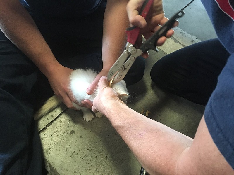 Firefighters at Chattanooga Fire Department Station 20 helped a kitten that had gotten its head stuck in a Mason jar.