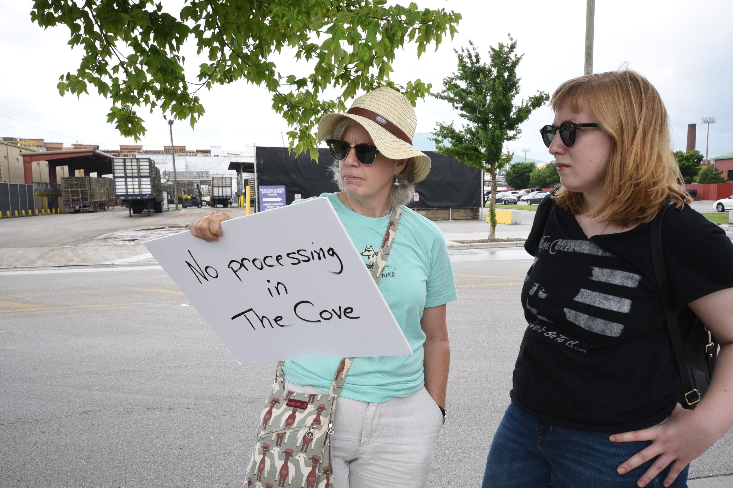 With the Broad Street Pilgrim's Pride plant as a backdrop, Betsy Reed, right, stands with Mary Lou Reed, center, on West Main Street and participates in a protest of a proposed chicken plant that may move into McLemore Cove in North Georgia.