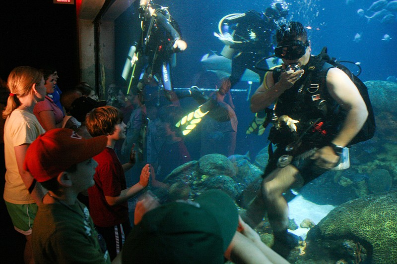 Sailors assigned to Mobile Diving and Salvage Unit (MDSU) 2 based in Little Creek, Va., dive in the Tennessee Aquarium saltwater tank during a Chattanooga Navy Week event. Chattanooga Navy Week is one of 21 Navy Weeks planned across America in 2009. Navy Weeks are designed to show Americans the investment they have made in their Navy and increase awareness in cities that do not have a significant Navy presence. (U.S. Navy photo by Senior Chief Mass Communication Specialist Gary Ward/Released)