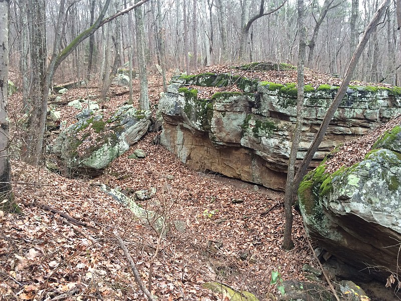 Several groups are working to turn this wooded property on Mountain Creek Road near Reads Lake Road into an outdoor recreation hub. Once developed, they hope to turn it over to the county to create a public park. (Contributed photo/The Land Trust for Tennessee)