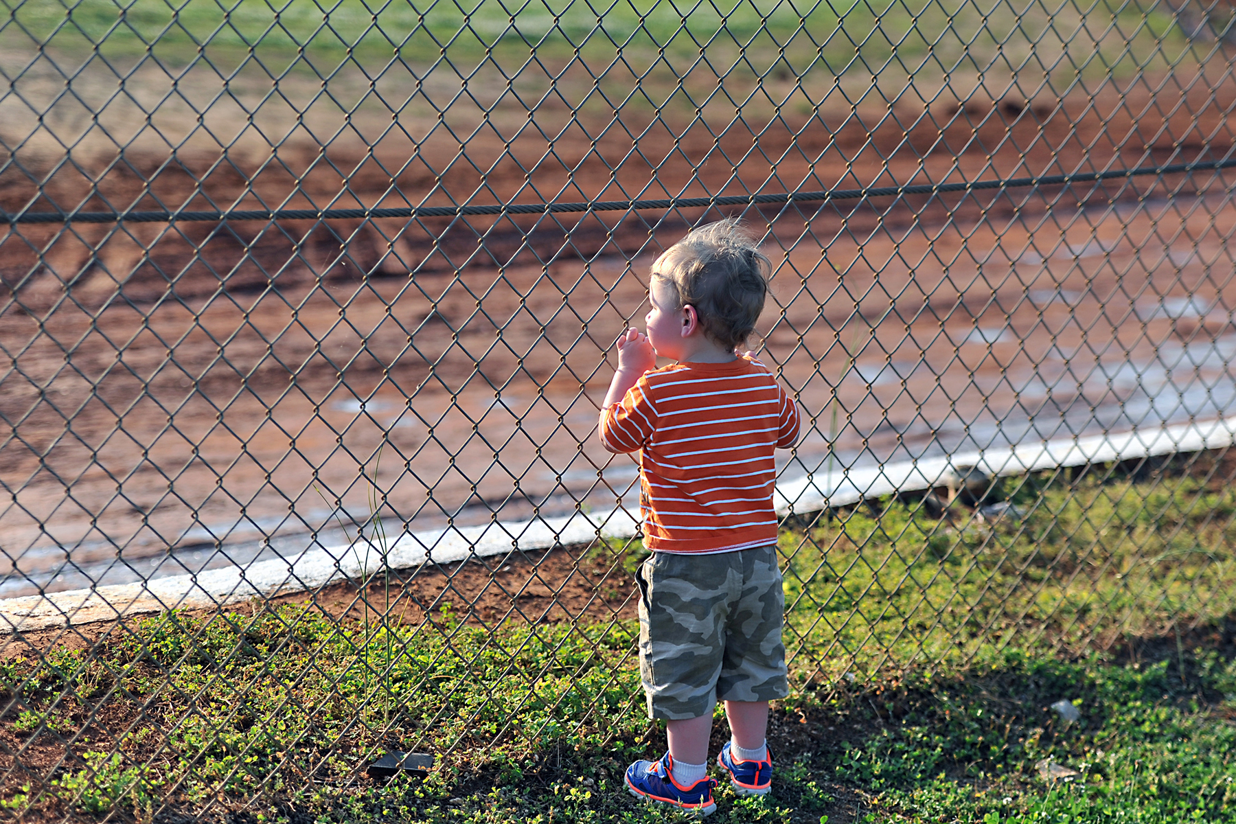 Children and service members are granted free admission, and pets are allowed.