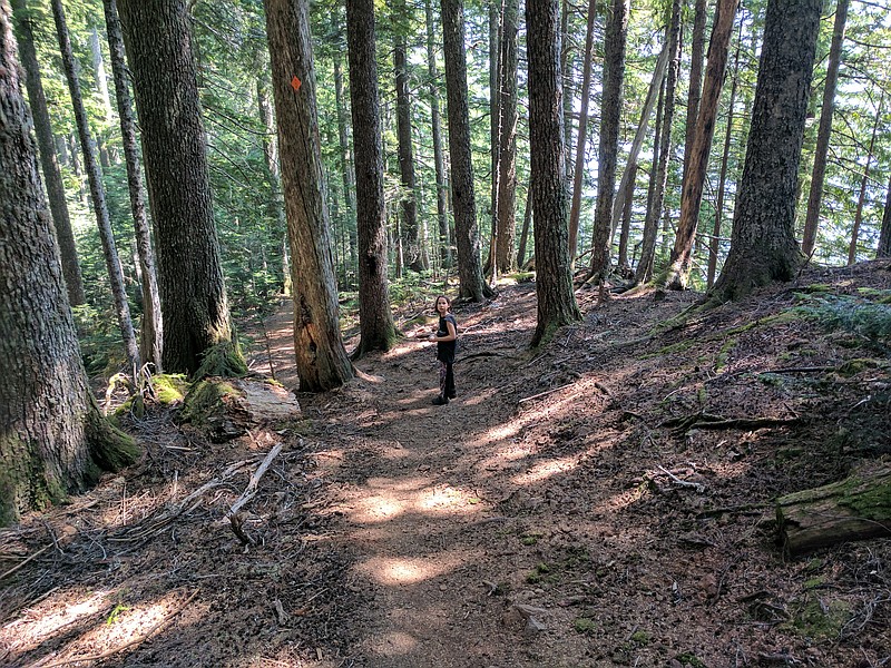 Erysse Elliott hikes in Olympic National Forest in 2017. Always remember the little things when you hike in the woods — like bug repellent.