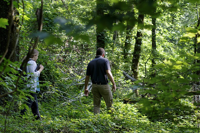 North Chickamauga Creek Conservancy Executive Director Tim Laramore, center, and The Land Trust for Tennessee Conservation Project Manager Rachael Bergmann hike along the land below W Road on Tuesday, June 19, 2018 in Signal Mountain, Tenn. The area of land would be the first park in the county to have downhill mountain biking, bouldering and hiking on the same property.