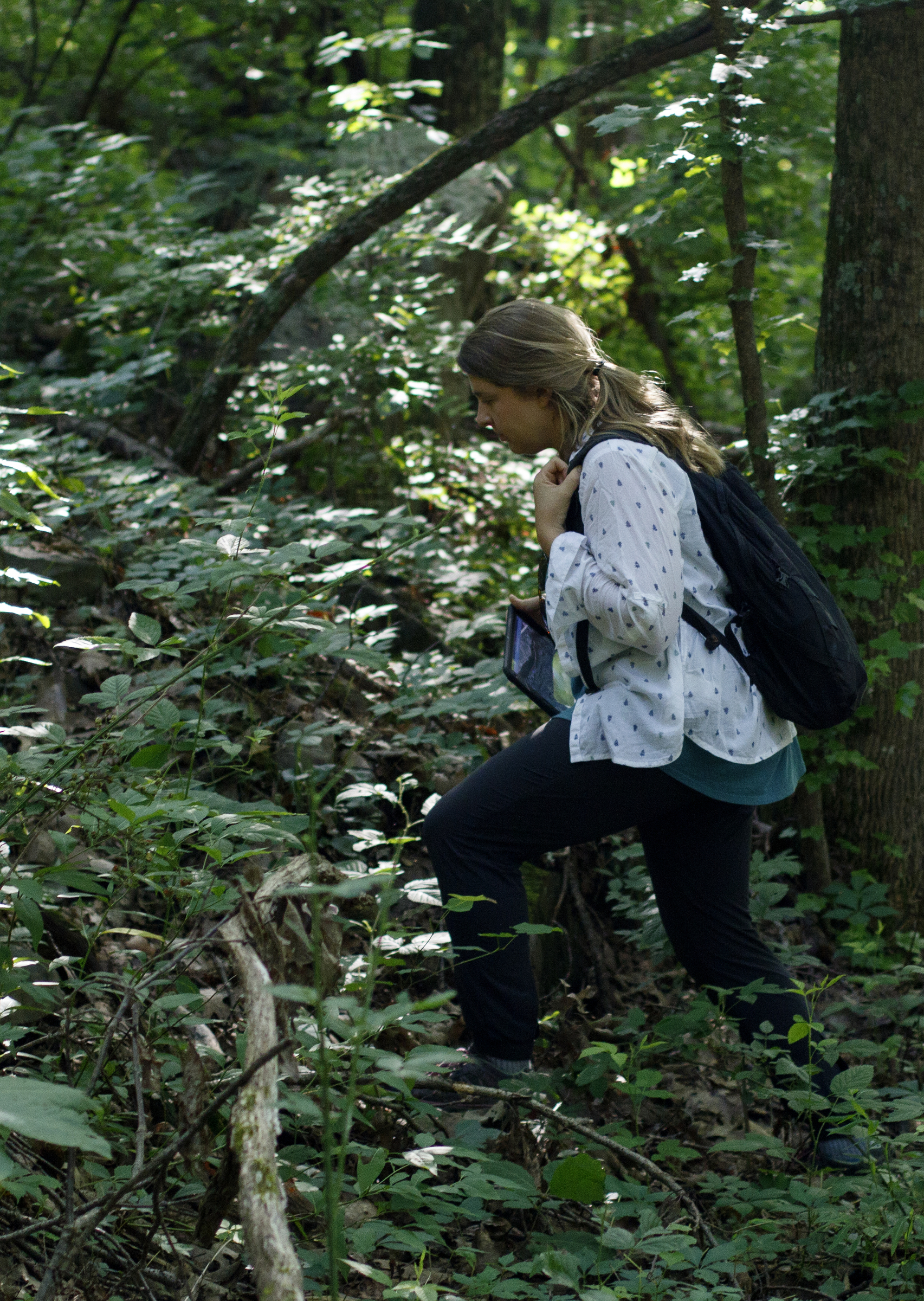 The Land Trust for Tennessee Conservation Project Manager Rachael Bergmann hikes along the land below W Road on Tuesday, June 19, 2018 in Signal Mountain, Tenn. The area of land would be the first park in the county to have downhill mountain biking, bouldering and hiking on the same property.