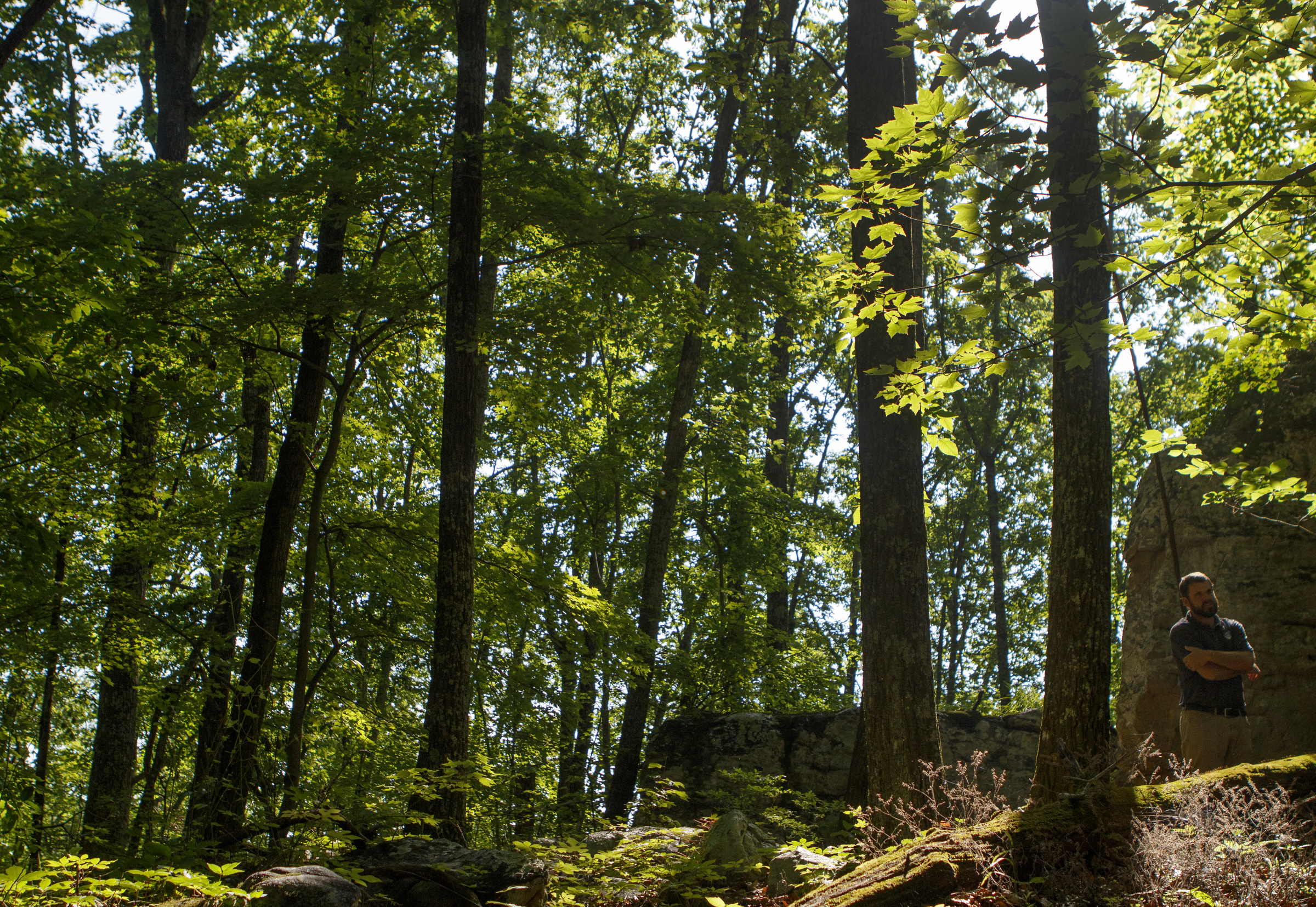 North Chickamauga Creek Conservancy Executive Director Tim Laramore speaks with the Times Free Press while giving a tour of the land below W Road on Tuesday, June 19, 2018 in Signal Mountain, Tenn. The area of land would be the first park in the county to have downhill mountain biking, bouldering and hiking on the same property.