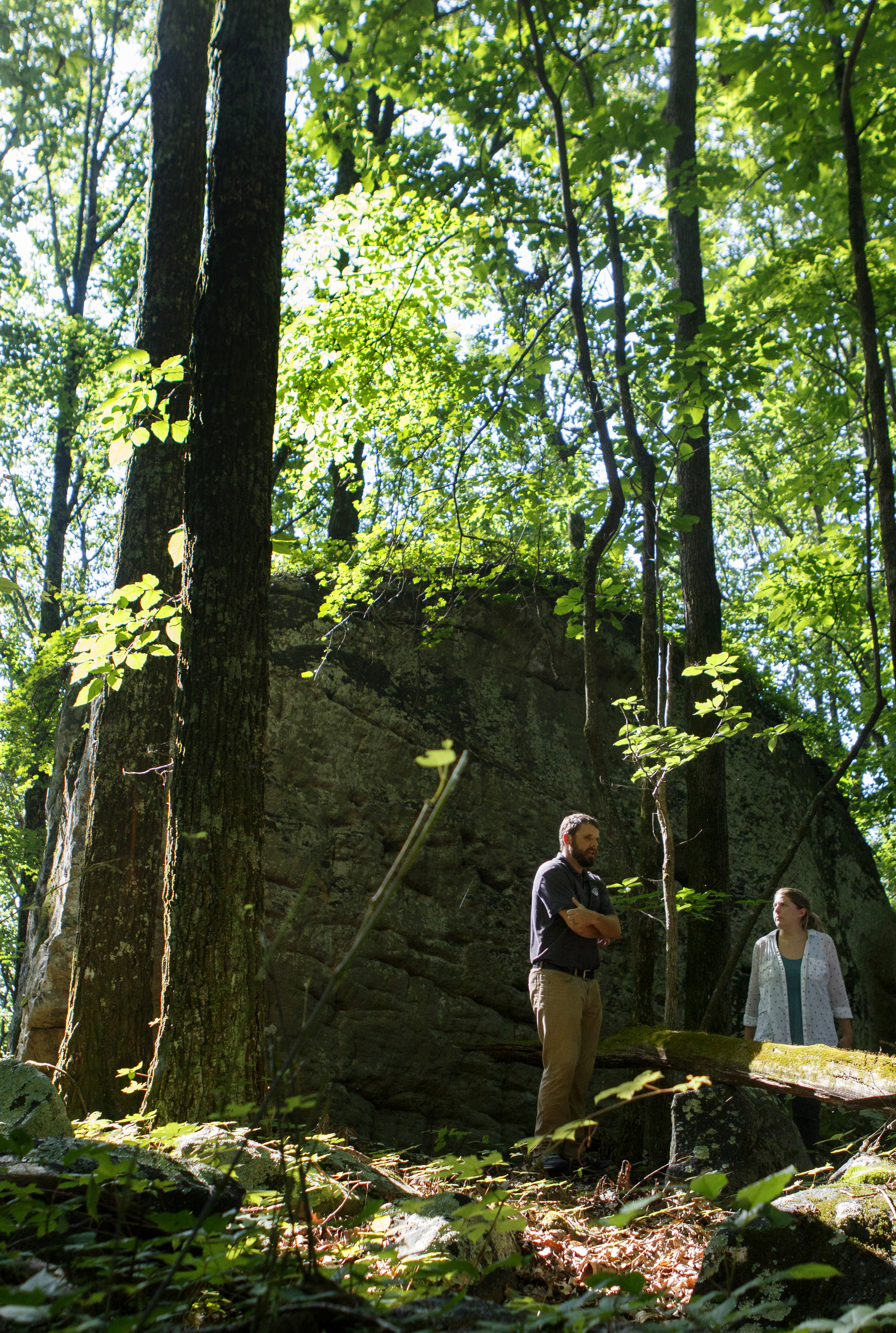 North Chickamauga Creek Conservancy Executive Director Tim Laramore, left, and The Land Trust for Tennessee Conservation Project Manager Rachael Bergmann speak with the Times Free Press while touring the land below W Road on Tuesday, June 19, 2018 in Signal Mountain, Tenn. The area of land would be the first park in the county to have downhill mountain biking, bouldering and hiking on the same property.