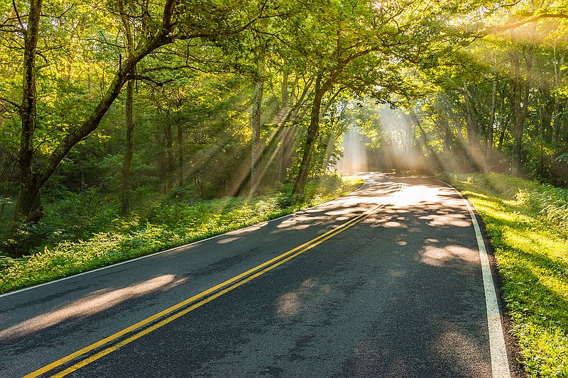 Natchez Trace Parkway