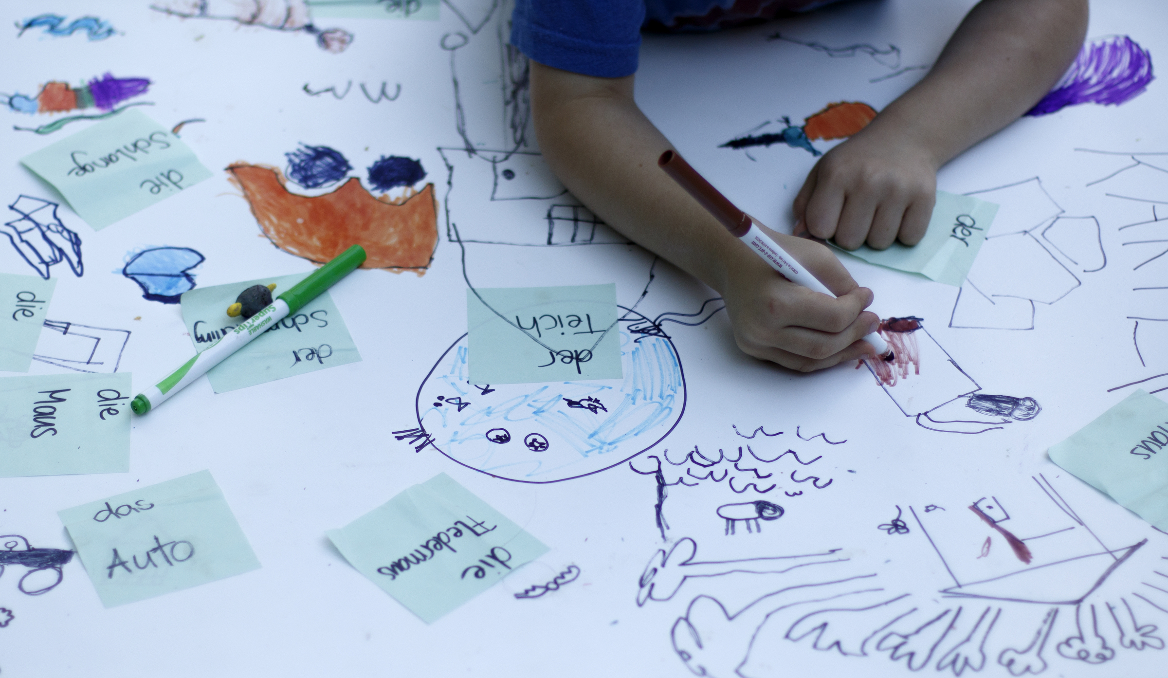 Five-year-old Arden colors during free play during a German language immersion camp, part of the Wauhatchie's Forest School School Summer Camp, at Reflection Riding Arboretum and Nature Center on Friday, June 22, 2018 in Chattanooga, Tenn.
