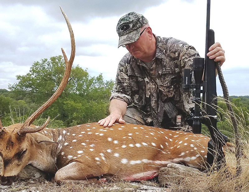 Outdoors columnist Larry Case checks out the axis deer he killed on a hunt in the Texas Hill Country. This type of deer is familiar to readers of the writings of the late Col. Jim Corbett, a British naturalist and hunter of man-eating tigers and leopards in India.