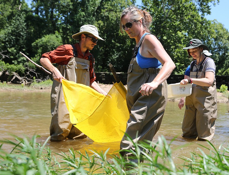 Mike Ellis, a sixth grade science teacher at Ivy Academy, Dipa Field, with Chattanooga Center for the Arts, and Rebecca Westbrook-Toker, a teacher at Wauhatchie Forest School, sample the water in South Chickamauga Creek Monday, July 9, 2018 in Graysville, Georgia. During the week-long workshop, teachers are learning about chemical monitoring and macroinvertibrate monitoring as well as sampling in South Chickamauga Creek. 