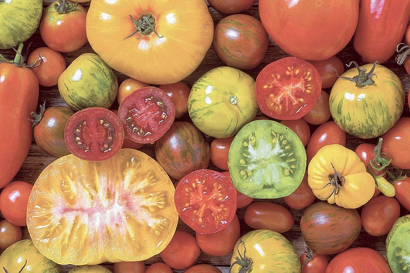 Ooltewah Nursery & Landscape Co. is hosting its annual sampling of more than 70 varieties of tomatoes at Ooltewah Farmers Market, 5829 Main St., Ooltewah, Thursday, July 26, from 3 to 6 p.m. (Getty Images/iStockphoto/MementoImage)