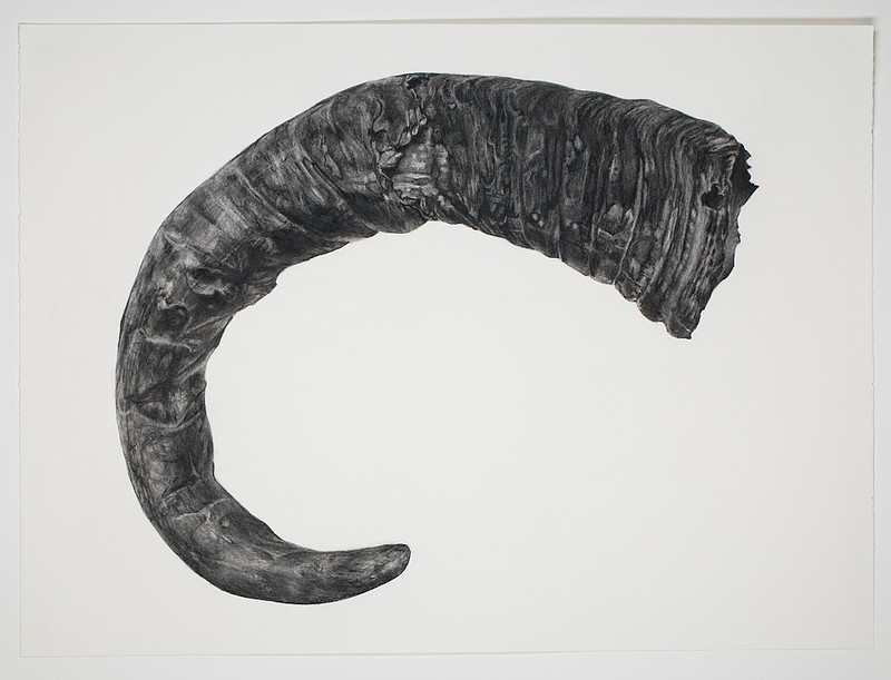 Half of "Missing Link," a charcoal on paper diptych, 22 by 30 inches each, by Tara Shukla. (Photo from SAS Gallery)