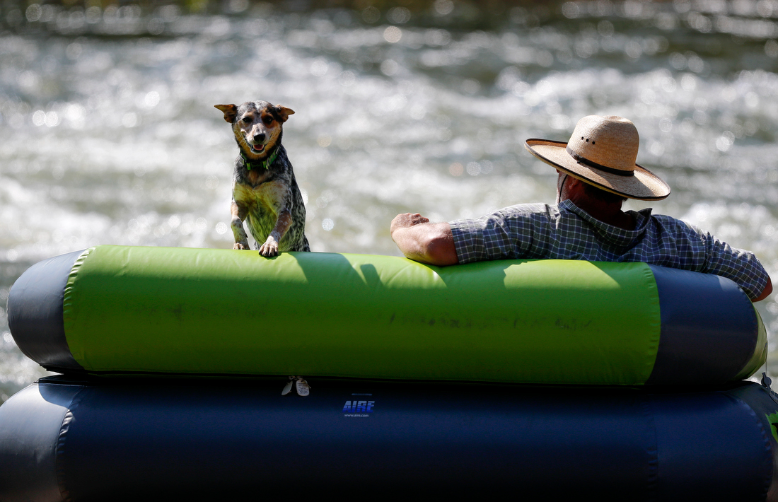 Staff photo by C.B. Schmelter /
Chris Williams and his dog Cactus wait for the action to start during the Ocoee River Championships on the 1996 Olympic Section of the Ocoee River on Friday, Aug. 24, 2018 in Copperhill, Tenn.