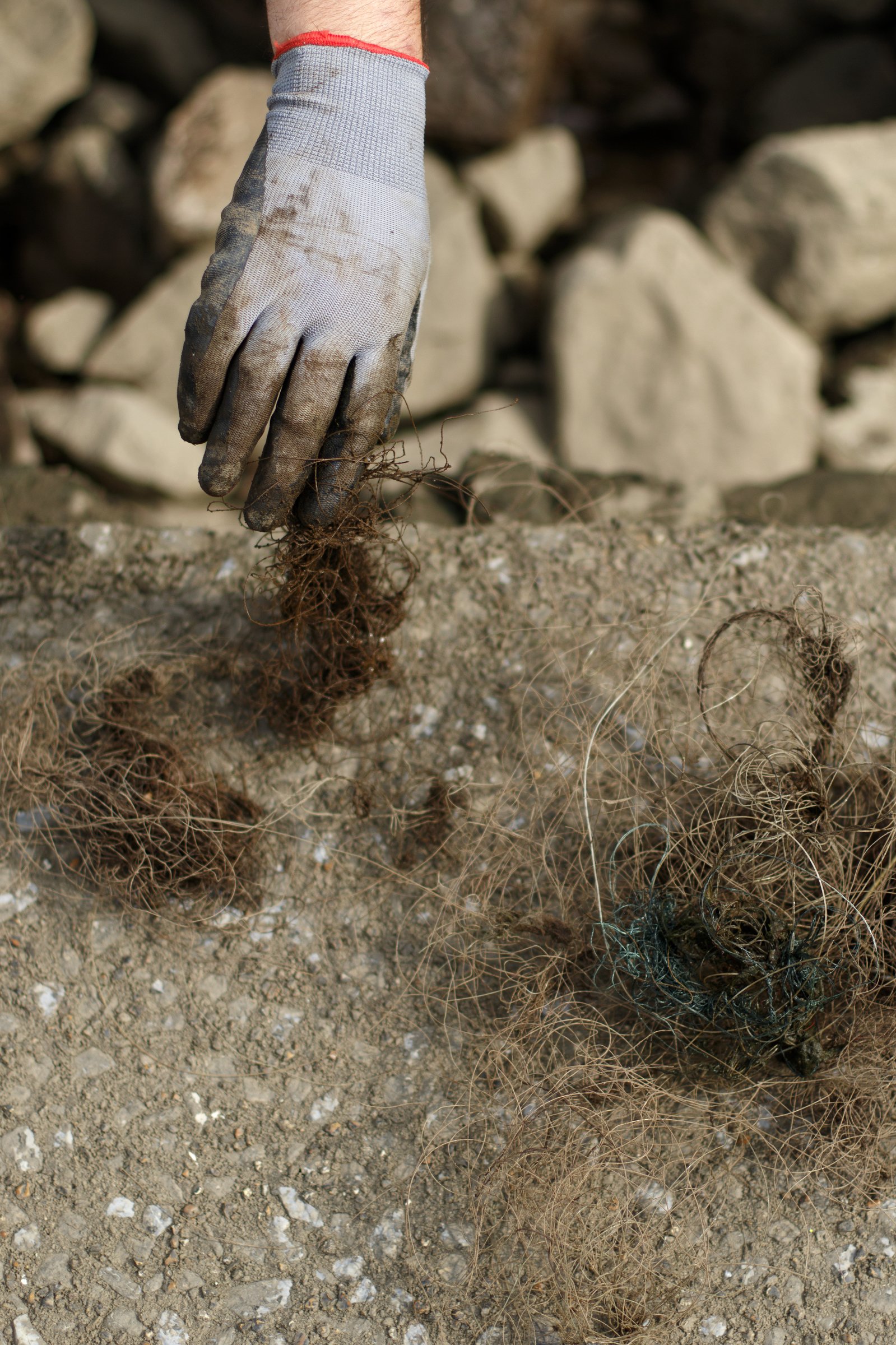 Robert Altonen, the watershed project coordinator for the Southeast Tennessee Resource Conservation and Development Council, pulls debris out of the rocks along the Tennessee Riverwalk at the Chickamauga Dam. A cleanup was organized by GreenSteps and The Wilderness Society.
