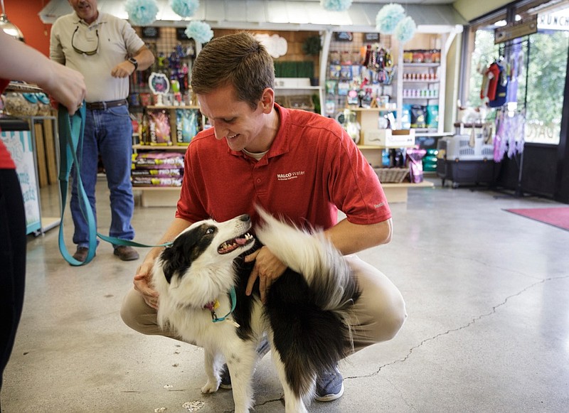 Brent Fiddler picks up his dog Delilah from doggie daycare at The Ark Pet Spa and Hotel on Wednesday, Sept. 12, 2018, in Chattanooga, Tenn. The Ark owners have been working to franchise the business.