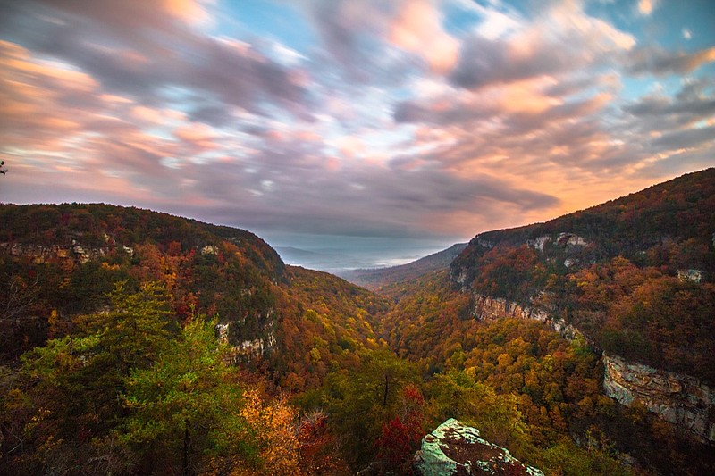 "Throwback to fall because I'm missing these colors," reads the post for this shot at Cloudland Canyon State Park. (Photo by Daniel Janeway)