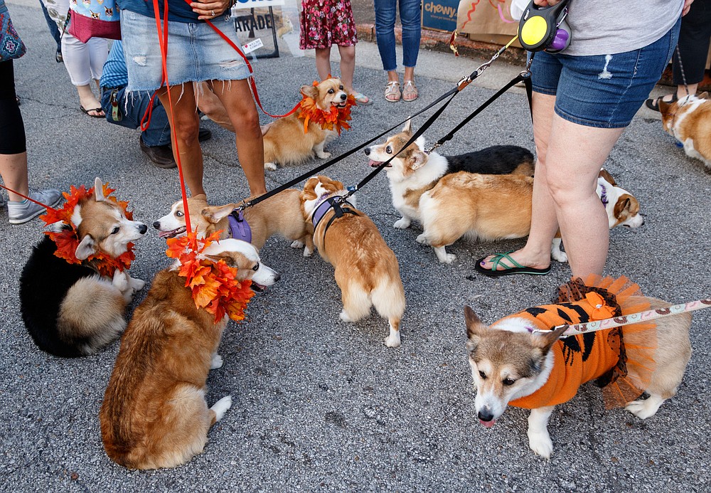 Parade Chattanooga Times Free Press