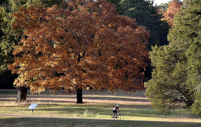 Staff Photo by Robin Rudd A cyclist passes a colorful tree in the Dyer Field in Chickamauga National Military Park in this 2016 file photo.