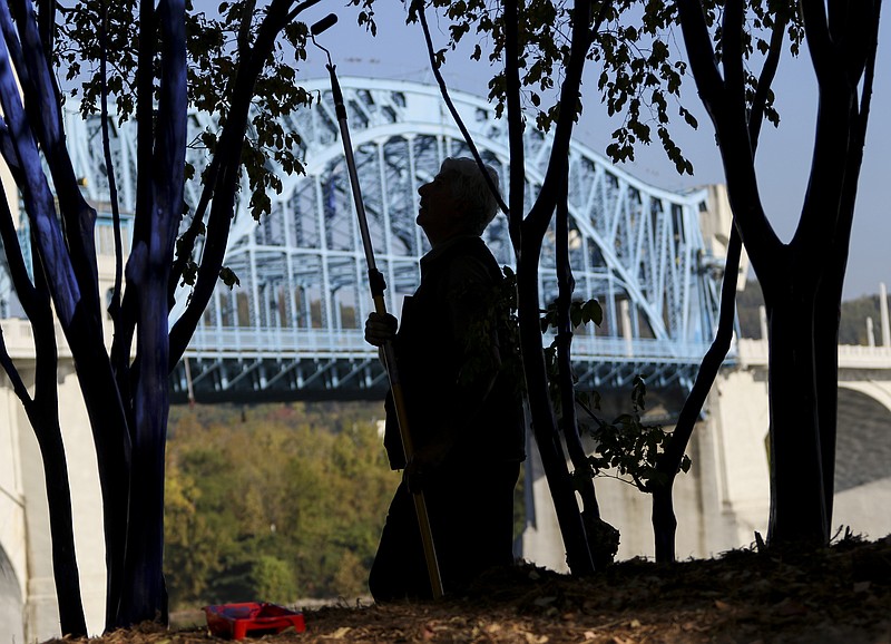 Trees are painted blue as a part of a 2016 art instillation under the Market Street Bridge and along Riverfront Parkway.