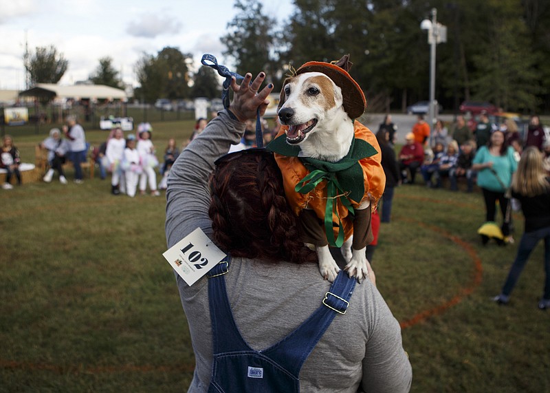 AJ the 10-year-old Jack Russell terrier perches on the shoulders of Jami Standridge as she acknowledges the crowd during the Crowd Favorite category for dogs under 25 pounds at the fourth annual Barktober Fest and Meowlloween at McKamey Animal Center on Saturday, Oct. 20, 2018 in Chattanooga, Tenn. The event included a costume contest for dogs and humans, a beer garden, German food, football viewing and trick-or-treating for kids and dogs.