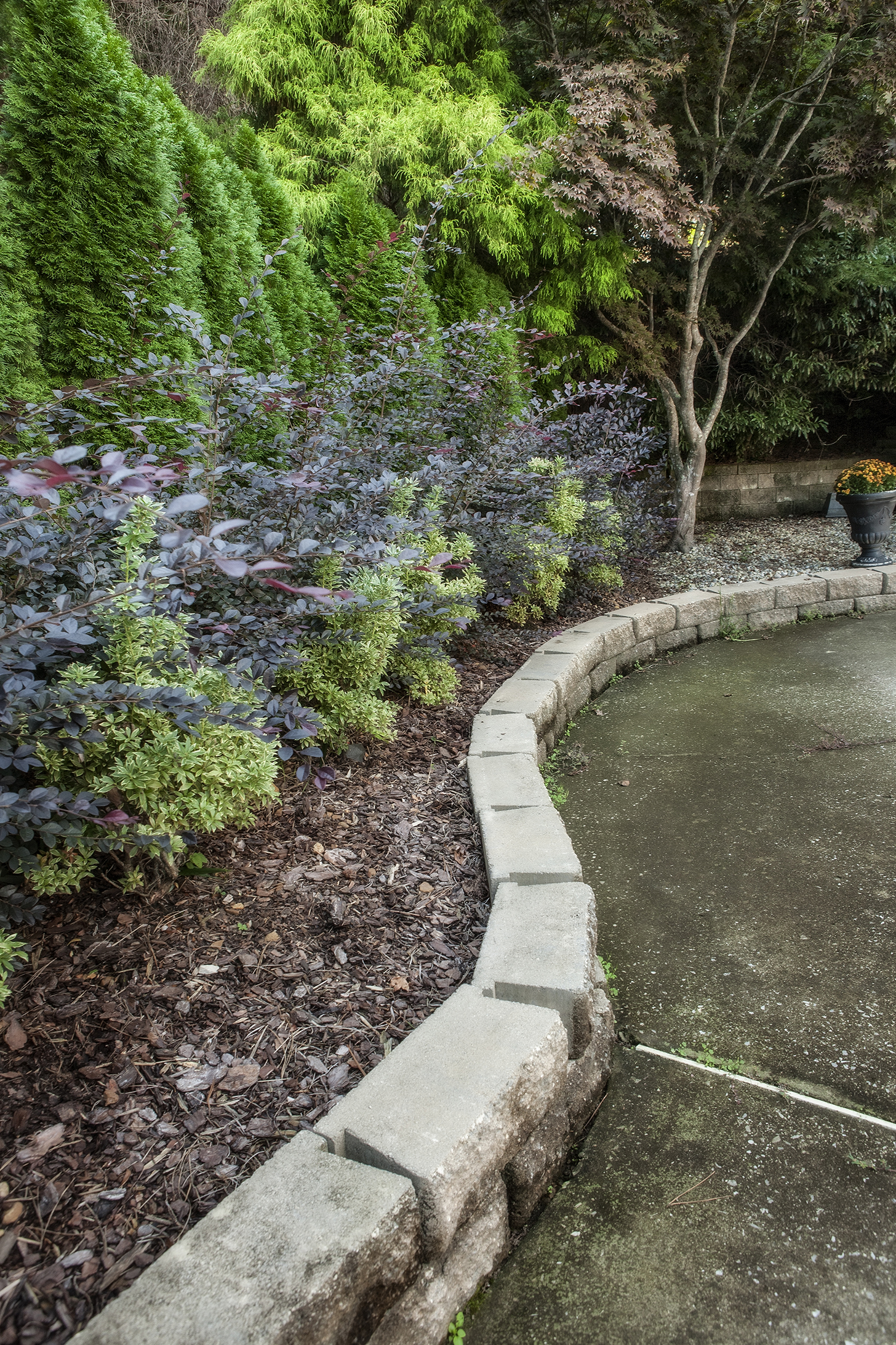 The wall and landscaping bordering the pool were strategically placed to prevent rainwater from collecting on that portion of the property.