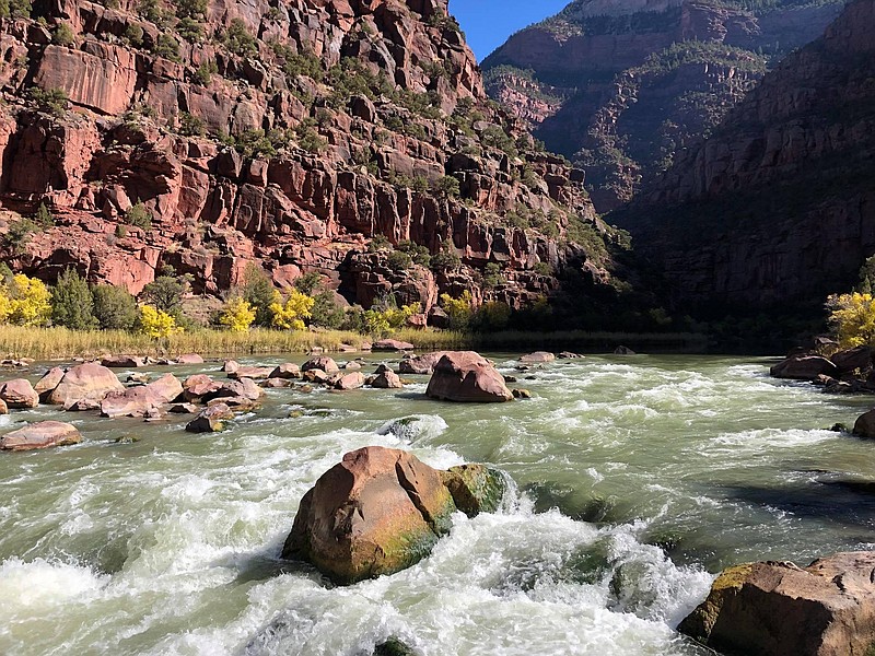 Hell's Half Mile rapid on Colorado's Green River in the Lodore Canyon. (Photo by Alex Vargas)