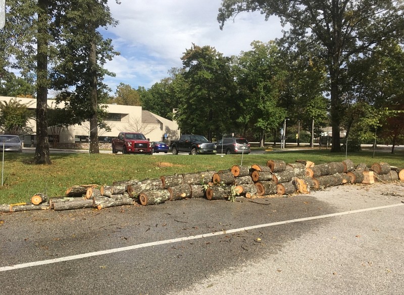 Pieces of a tree cut from Signal Mountain town property are seen in front of the town hall complex.