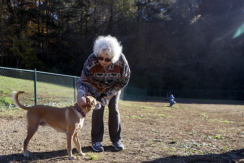 Dot Boucher pets her dog Pooch at the dog park in White Oak Park on Wednesday, Nov. 21, 2018 in Chattanooga, Tenn.